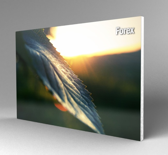 فوركس مع استيكر